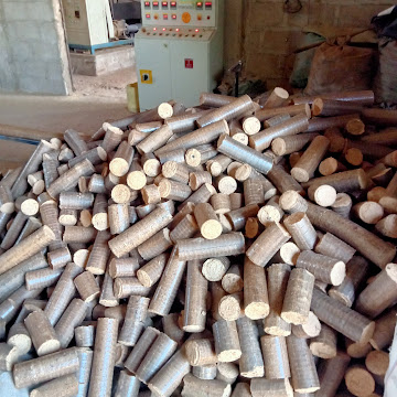 Profile photo of BENARD MAKACHIA