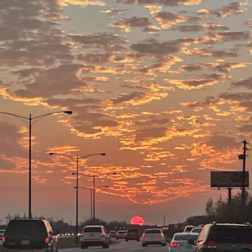 Profile photo of Edilawit Semie