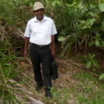 Profile photo of André RANDRIAMALAZA